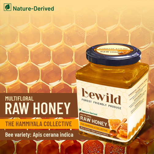 Multi Floral Raw Honey | 500g | Apis cerana indica | The Hammiyala Collective | Nature-Derived