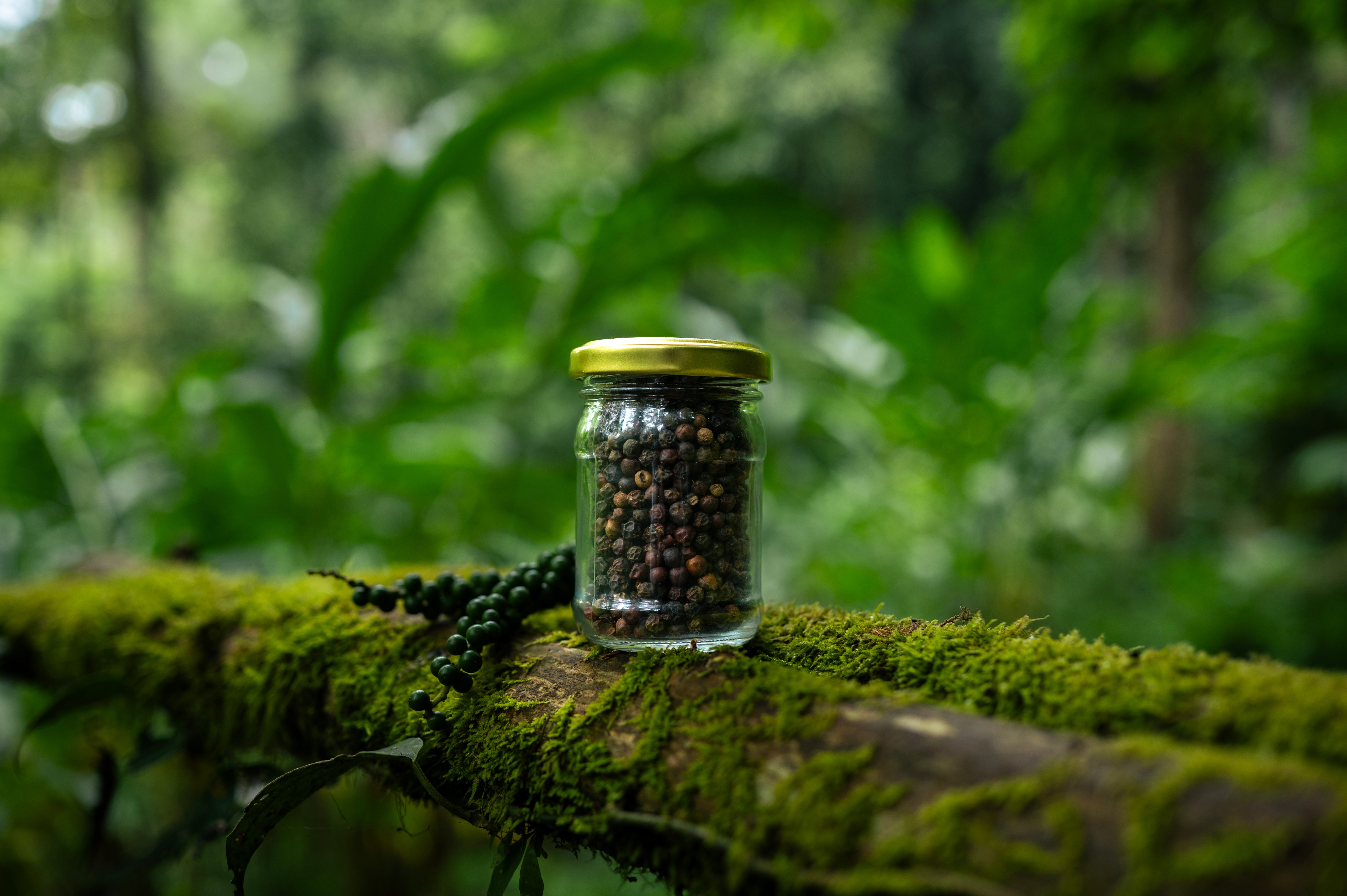 Black Pepper Whole 125g Sundried Ungarbled bewildproduce