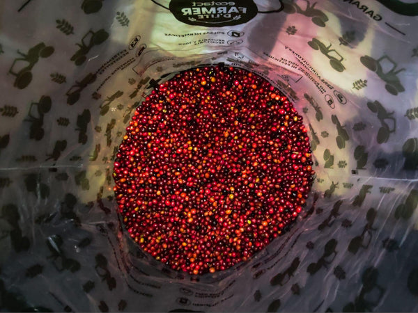 5 Exciting Coffee Experience Trends To Explore in 2024