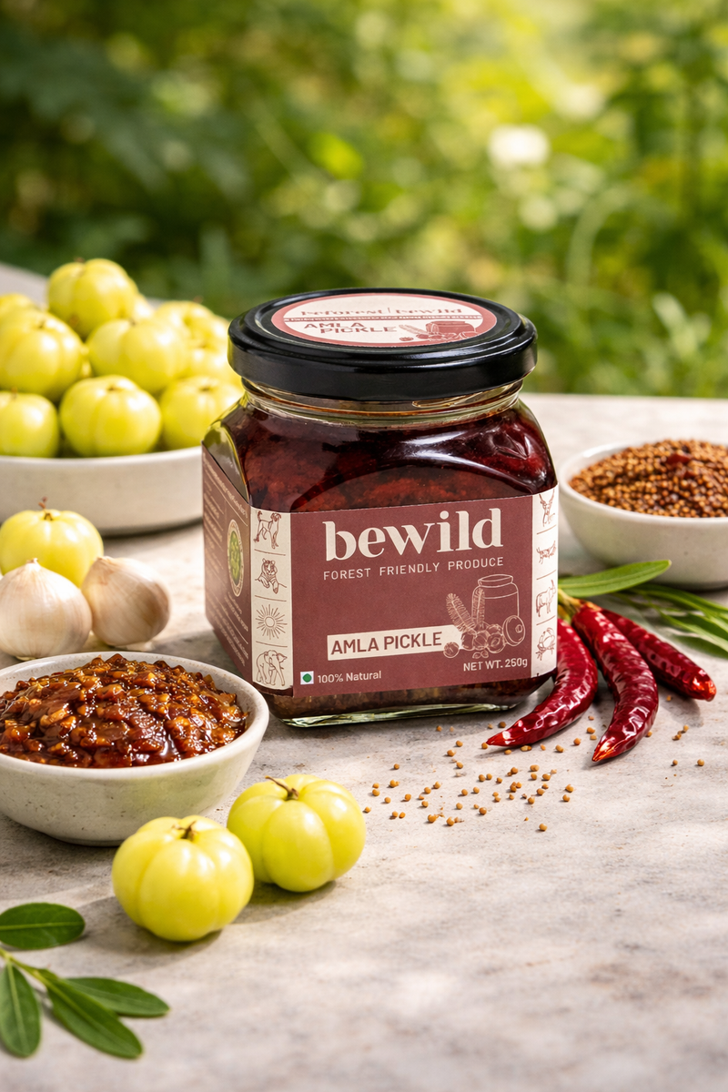 Amla Pickle | 250 gm | Traditionally Crafted | Naturally Preserved