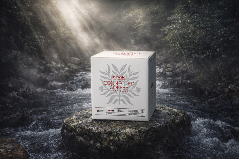 Connected Coffee Drip Bags | Canephora Coffee (Robusta) | Medium Roast | Anoxic Naturals