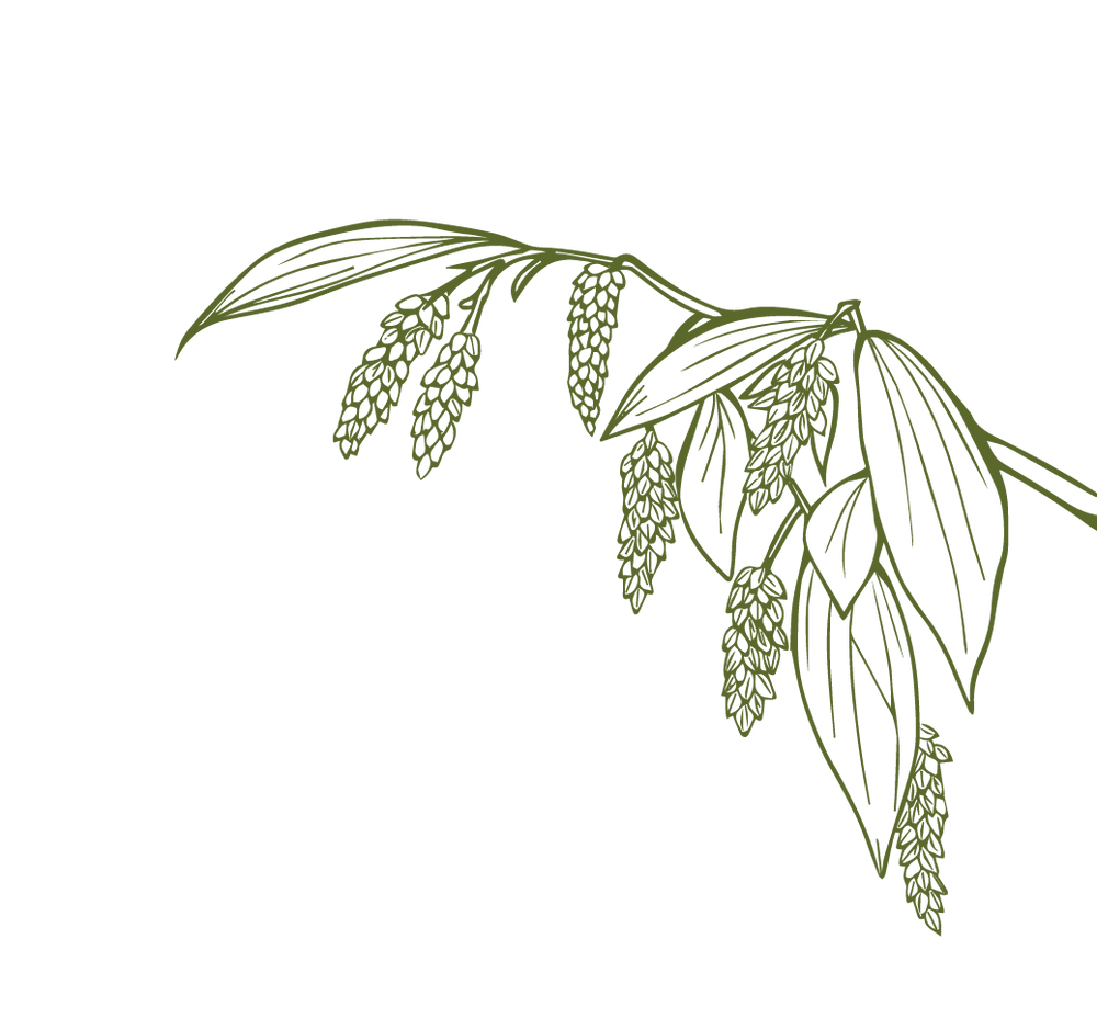 Product Illustration