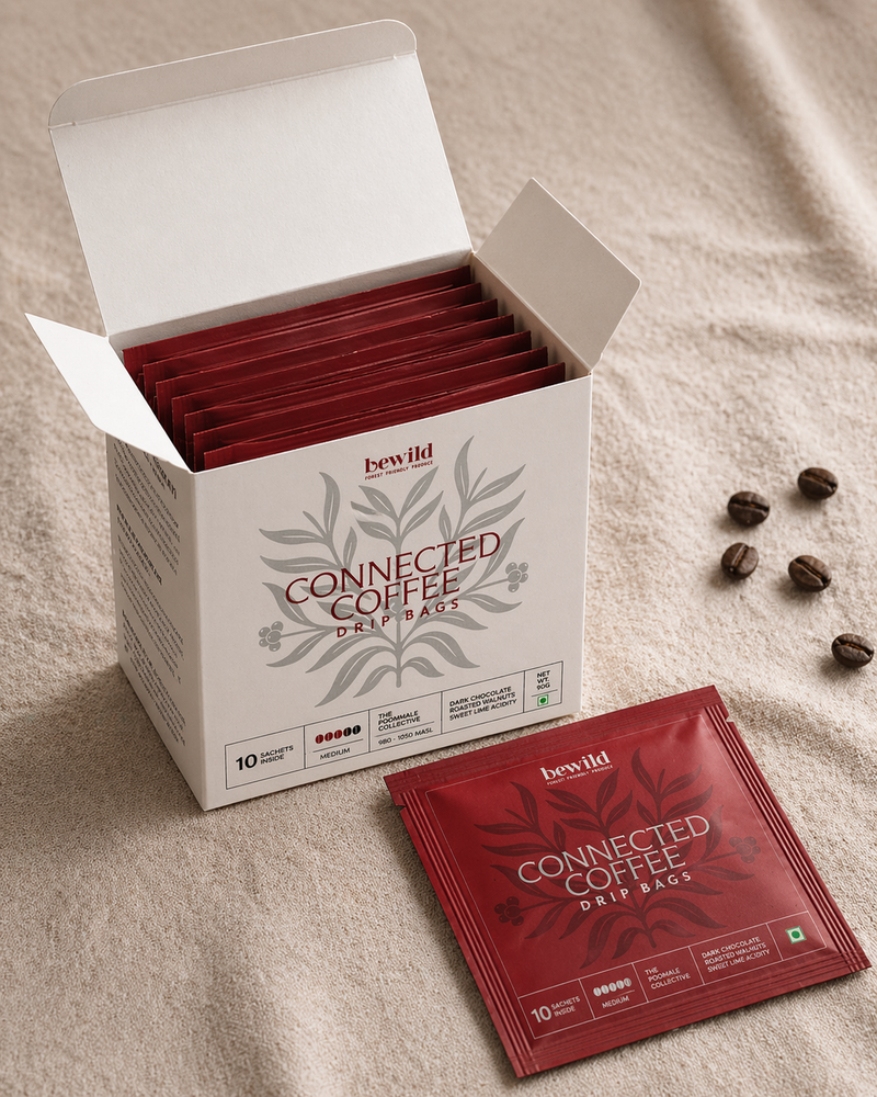 Connected Coffee Drip Bags | Canephora Coffee (Robusta) | Medium Roast | Anoxic Naturals