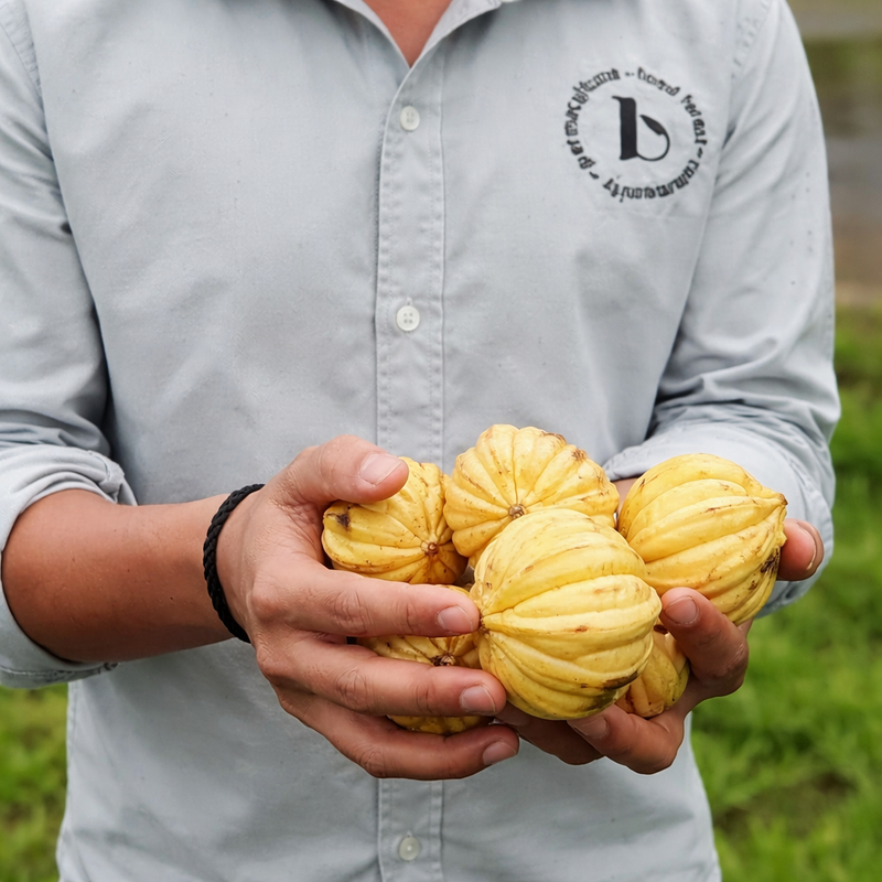 Kachampuli | 300ml | Tangy | Potent | Traditionally Fermented