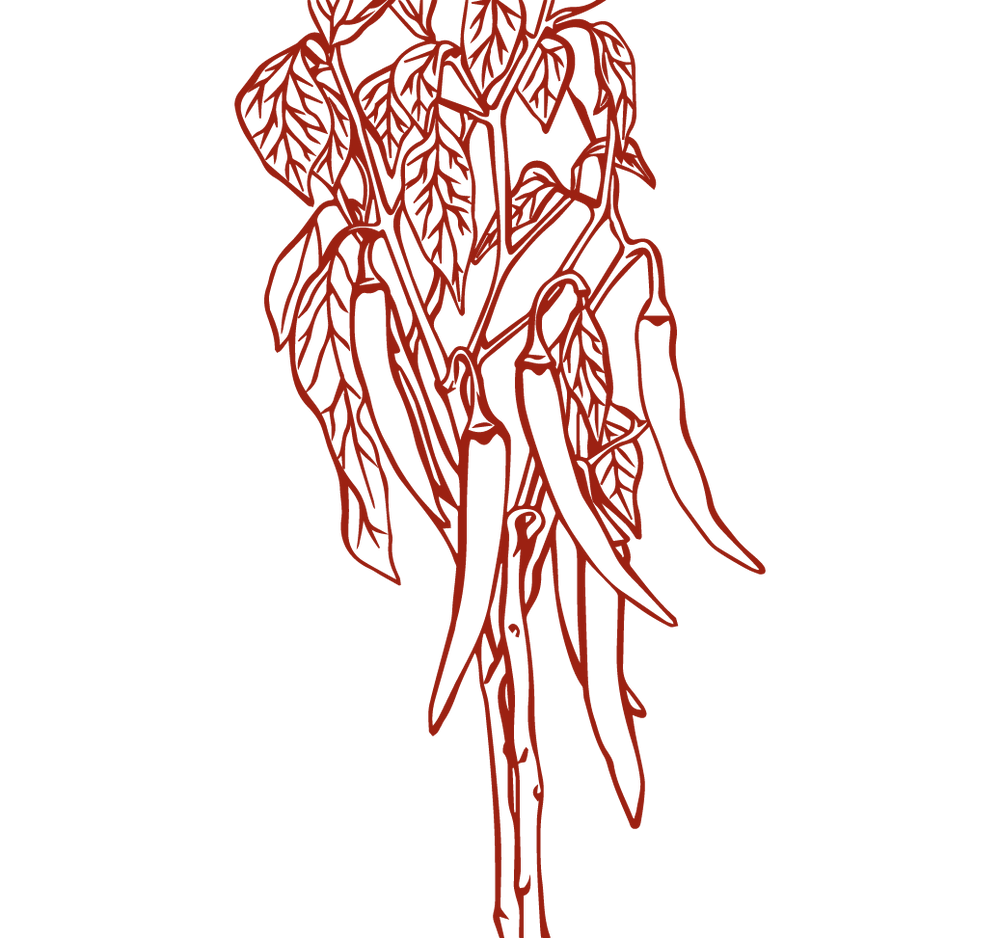 Product Illustration