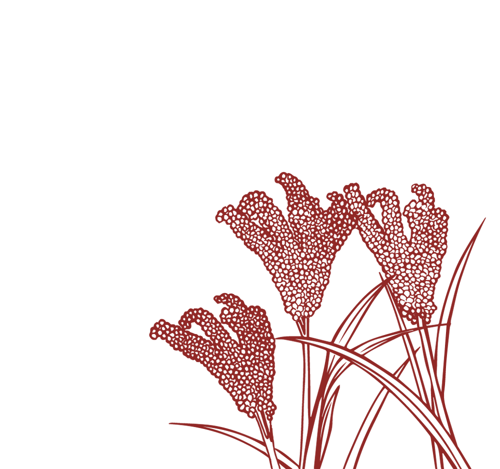 Product Illustration