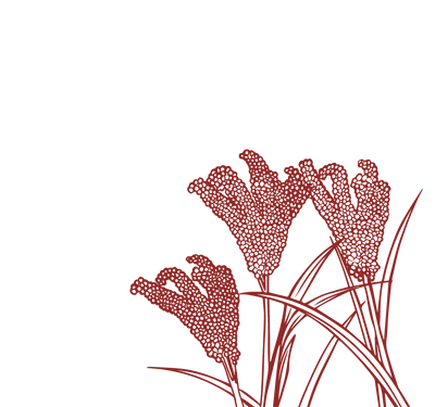 Product Illustration