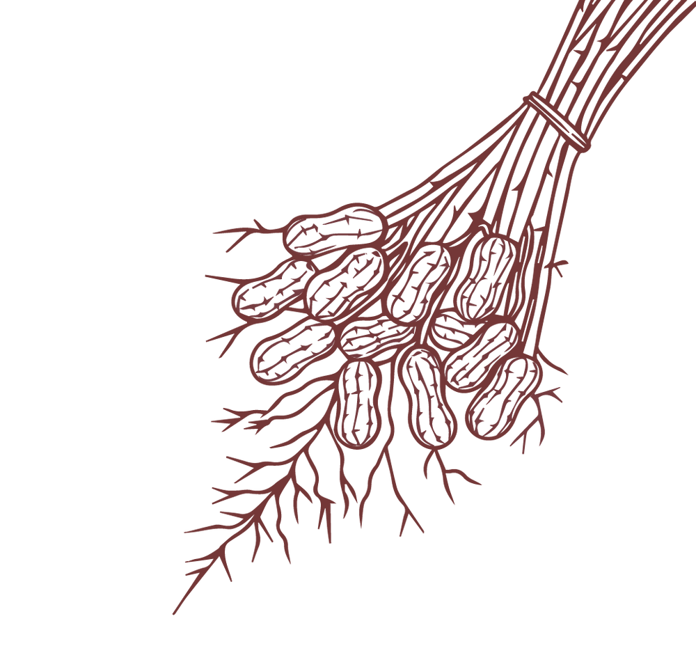 Product Illustration