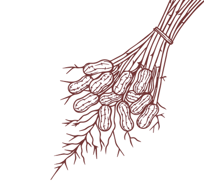 Product Illustration