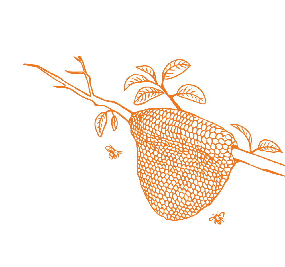 Product Illustration