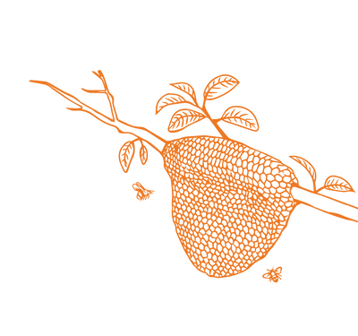 Product Illustration