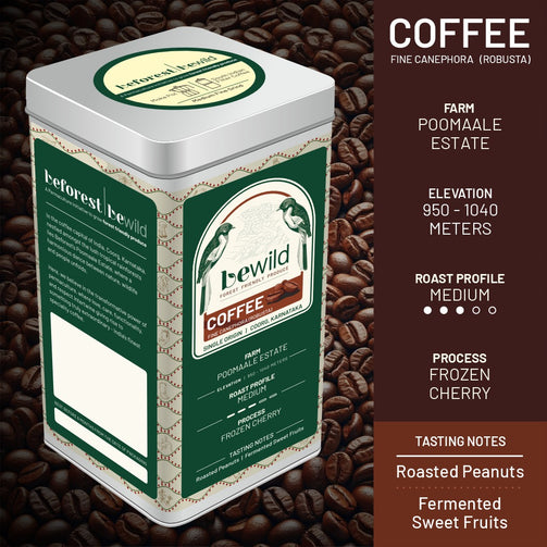 Dark Roast Canephora Coffee