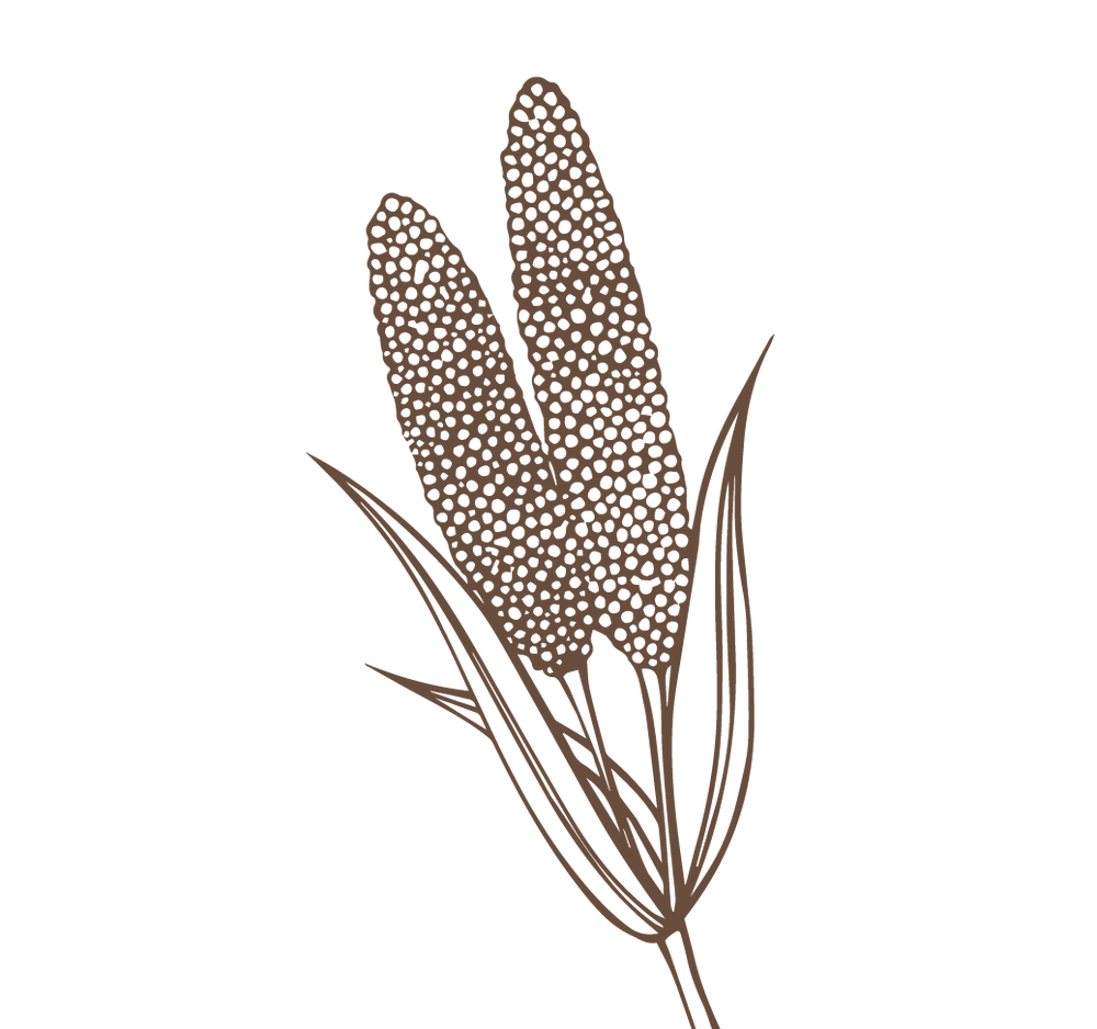 Product Illustration