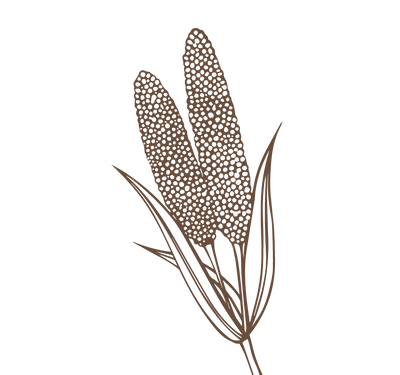 Product Illustration