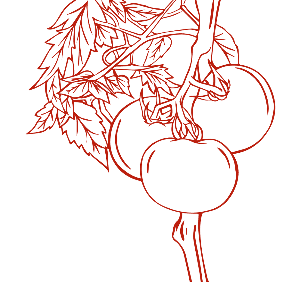 Product Illustration