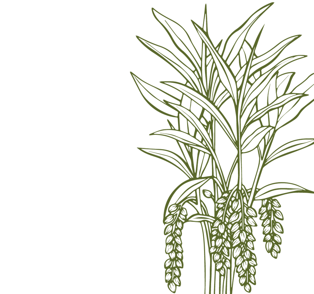 Product Illustration