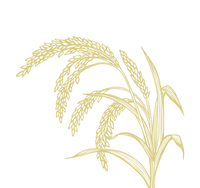 Product Illustration