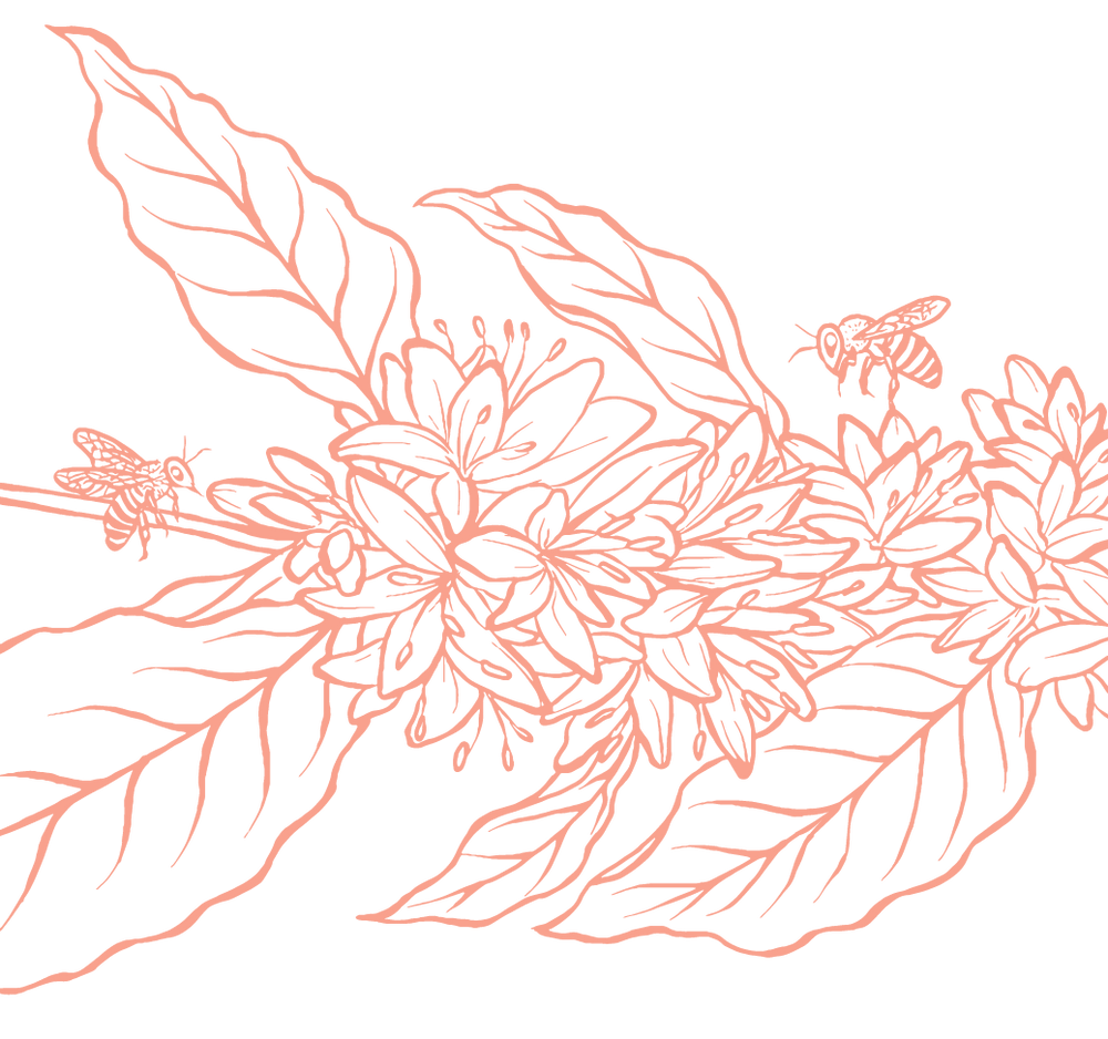 Product Illustration