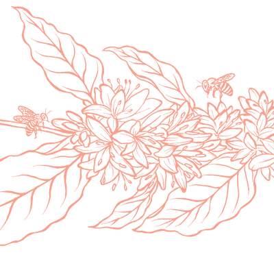 Product Illustration