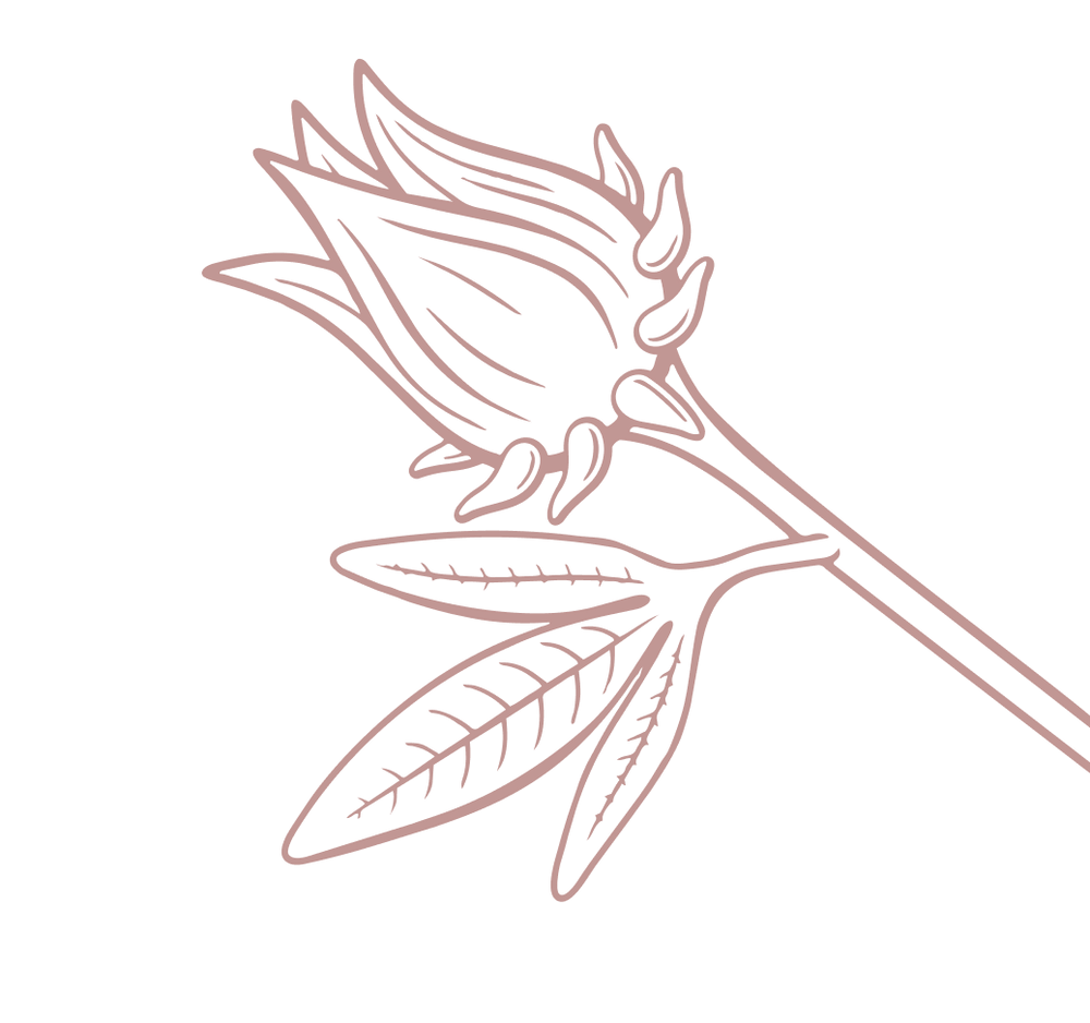 Product Illustration