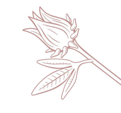 Product Illustration