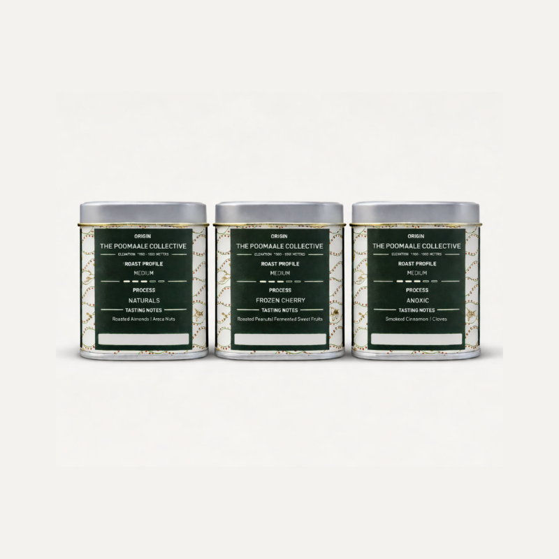 Poomaale Discovery Set | Canephora Coffee (Robusta) - Medium Roast | 3 x 50g