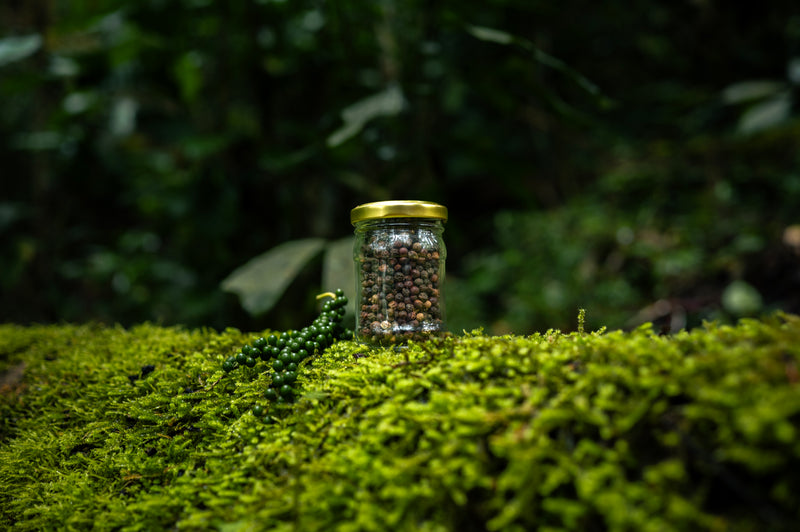 Black Pepper | Whole | Coorg | 125g | Sundried | Ungarbled