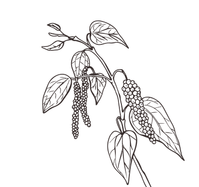 Product Illustration