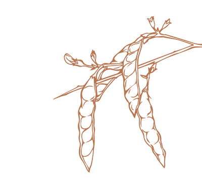 Product Illustration