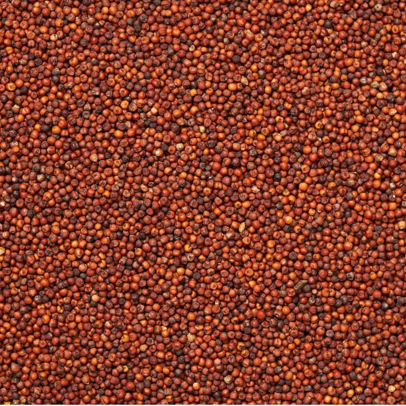 Sprouted Ragi Mix | 500g | Freshly Milled | Gluten-Free Supergrain