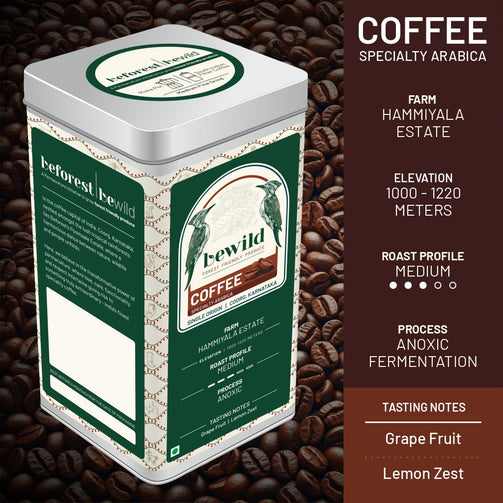 Specialty Arabica Coffee - Medium Roast | Anoxic | 200g