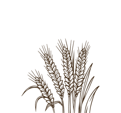 Product Illustration