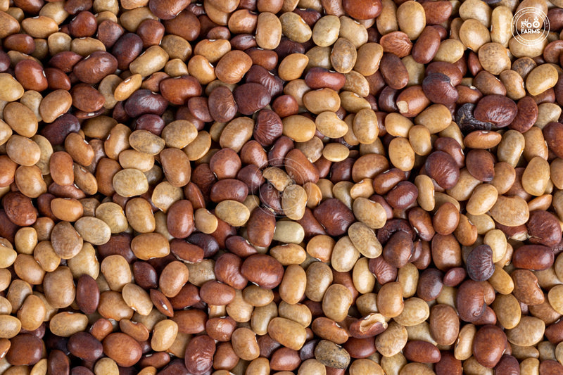 Whole Brown Horse Gram | 500g | Unpolished | Protein-rich