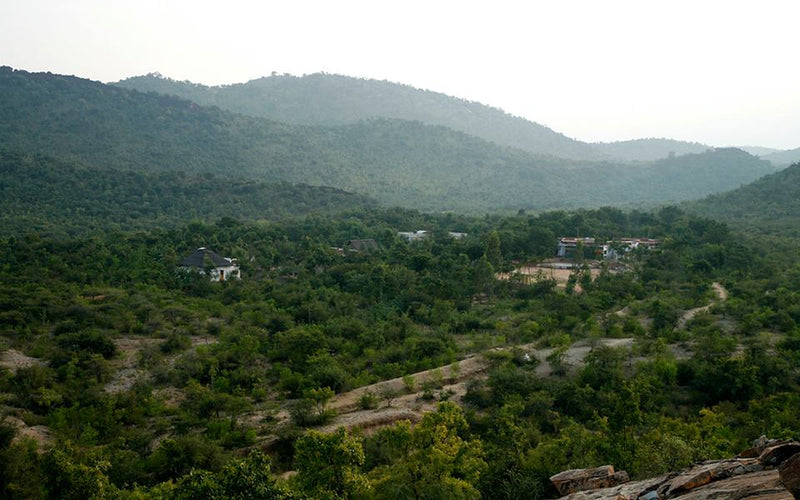 Peanut Butter | Crunchy | 250g | Kadiri Nath Peanuts | Slow-roasted | Naturally Delicious